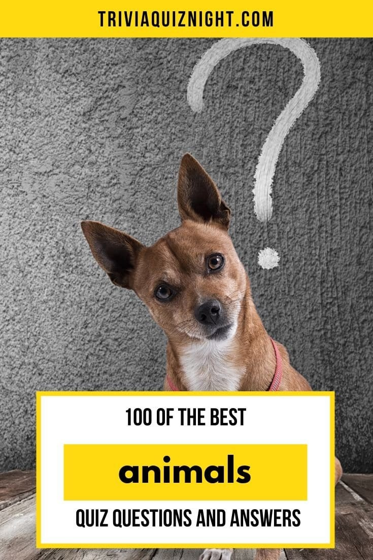 100 Animal Quiz Questions And Answers The Ultimate Animal Trivia Quiz