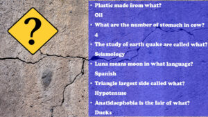 100 Trivia Crack Questions And Answers