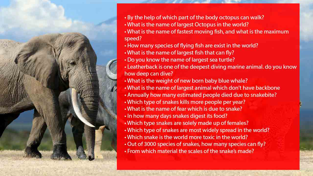 Animal Trivia Questions And Answers For Adults