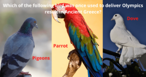 87 Fun Random Trivia Questions And Answers FUN FACTS TRIVIA