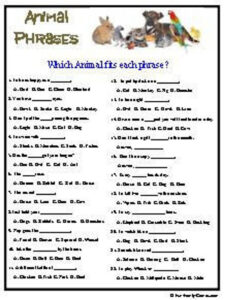 Amazing Animals Trivia Game Etsy In 2020 True Or False Questions