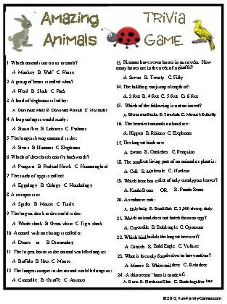 Amazing Animals Trivia Game Etsy Trivia Questions For Kids 