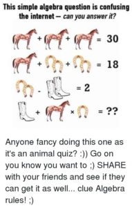 Animal Quiz Questions And Answers For Adults CAR INSURANCE QUOTES