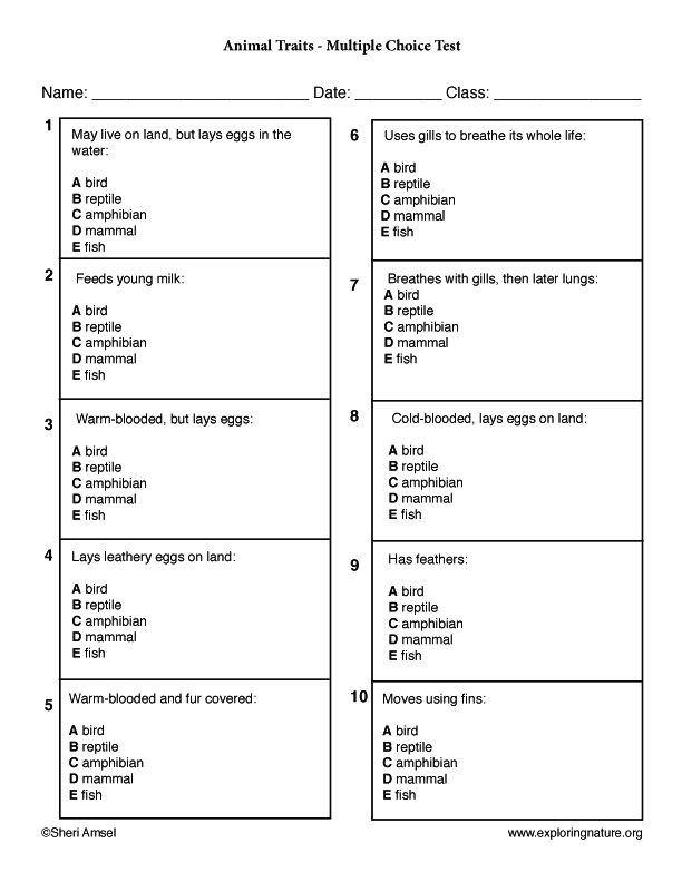 Animal Trivia Questions And Answers Printable That Are Refreshing Roy 