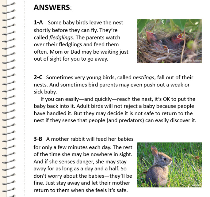 Baby Animal Quiz Answers NWF Ranger Rick