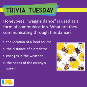 Can You bee Sure About The Answer To This Trivia Tuesday Question