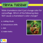 Can You Show Your True Colors And Answer Today S Trivia Tuesday
