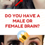 Do You Have A Male Or Female Brain Brain Teasers Brain Games Brain