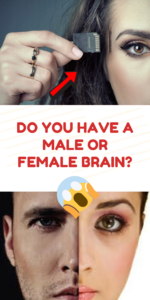 Do You Have A Male Or Female Brain Brain Teasers Brain Games Brain