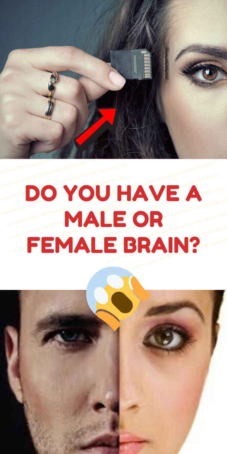 Do You Have A Male Or Female Brain Brain Teasers Brain Games Brain 