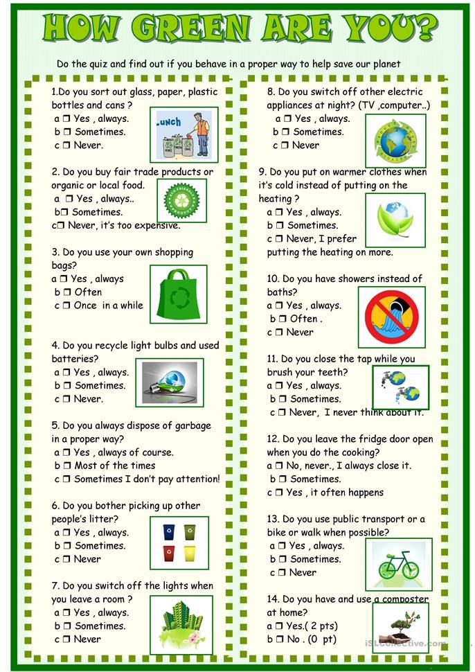 How Green Are You Quiz Quiz Special Needs Students Pre Kindergarten 