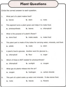 Parts Of A Plant Process