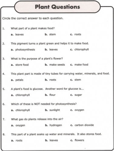 Plant Trivia Questions And Answers