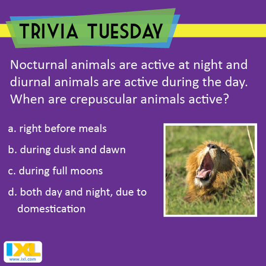 Rise And Shine Do You Know The Answer To This Trivia Tuesday Question 