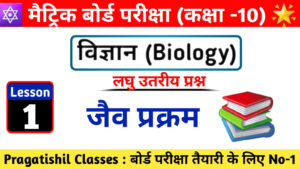 Subjective Question Answer 2023