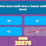 Trivia Quiz Game YouTube