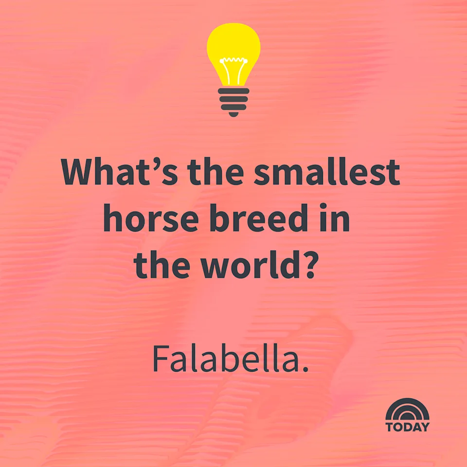 100 Animal Trivia Questions Think 102733364 100 Animal Trivia Questions Think 102733364