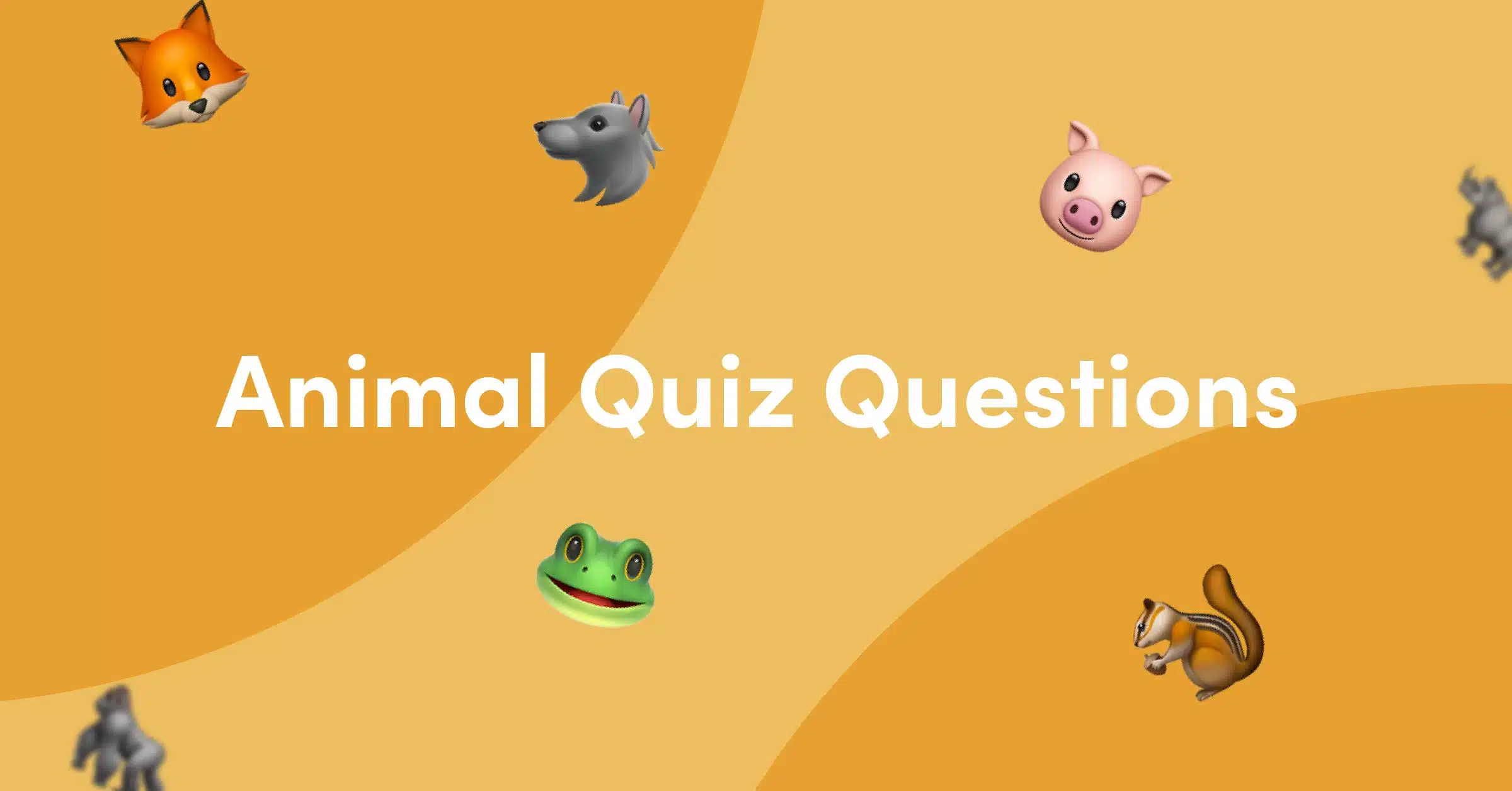 Animal Quiz Questions And Answers Animal Quiz Questions And Answers
