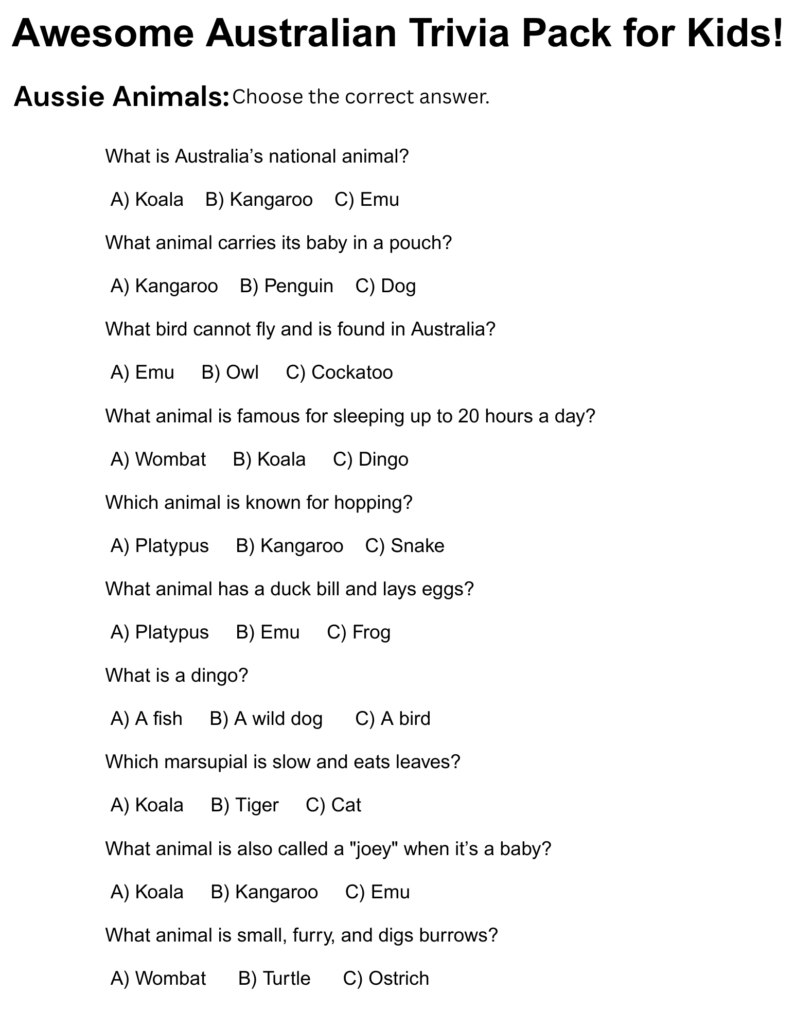 Australian Trivia Questions For Kids Fun Trivia Questions About Australia