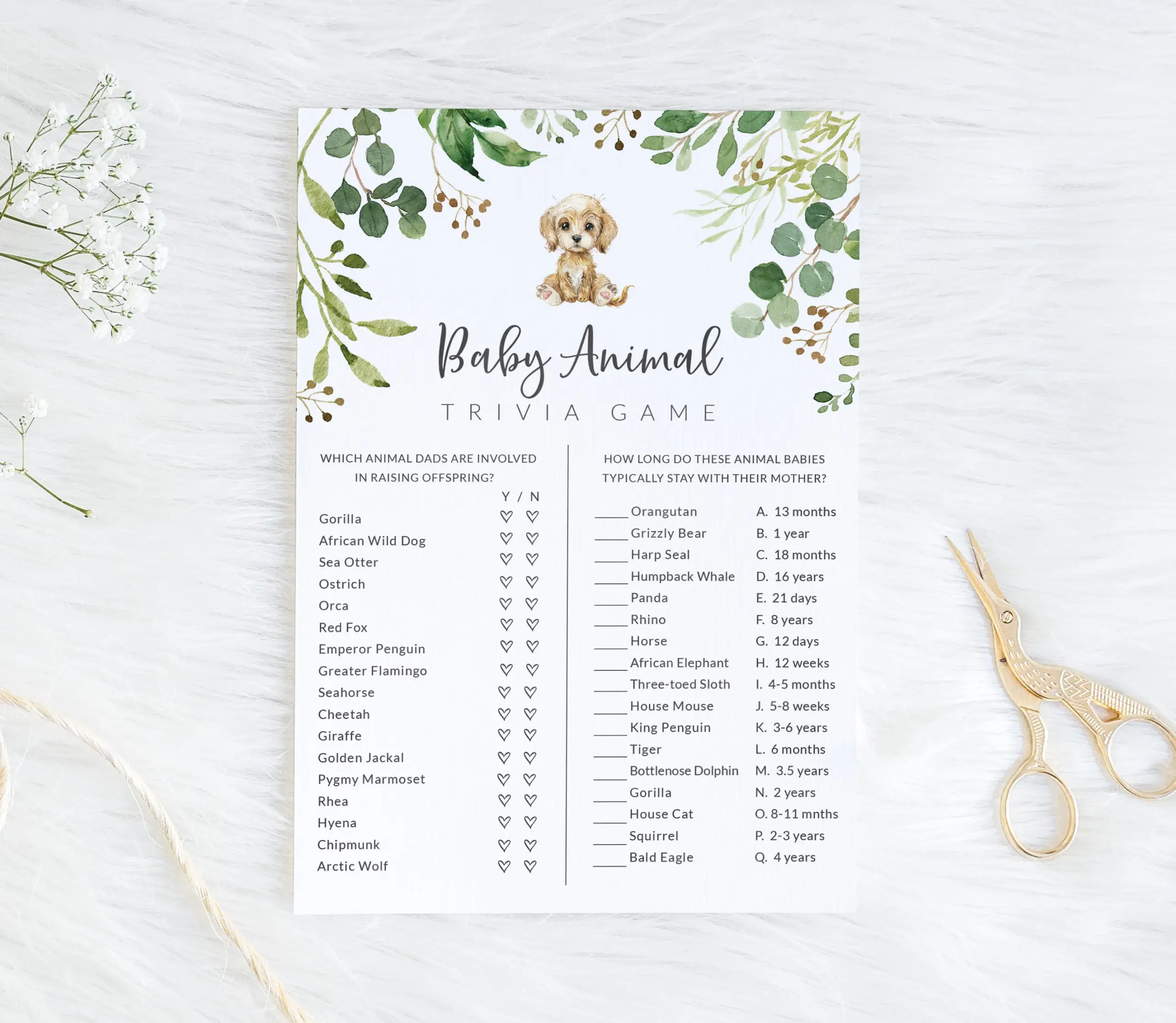 Baby Animal Quiz Game Dog Themed Baby