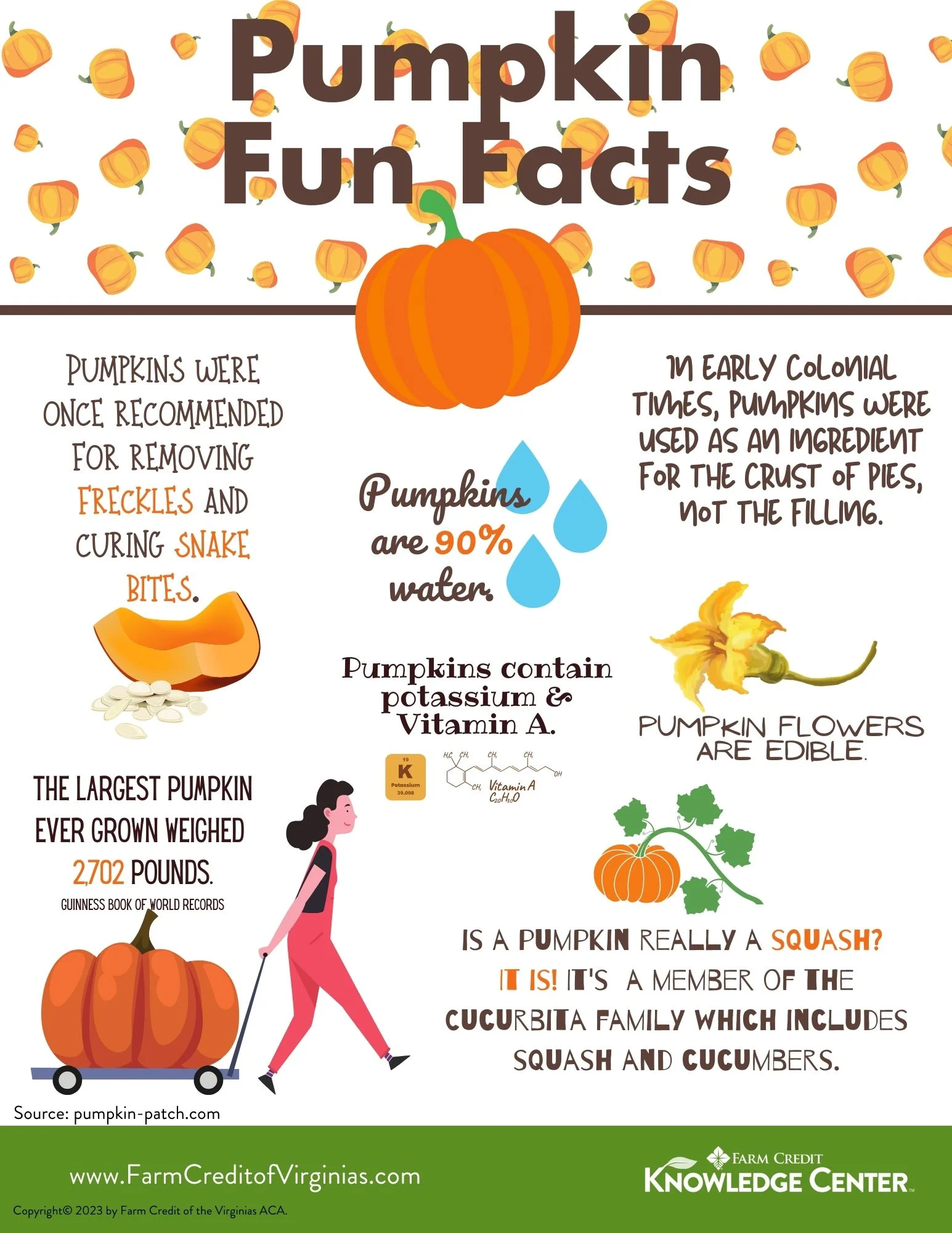Fun And Surprising Pumpkin Facts Fun And Surprising Pumpkin Facts
