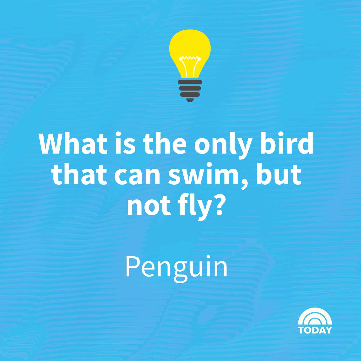 Funny Trivia Rcna164876