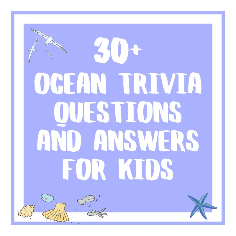 Ocean Trivia Questions And Answers For Kids Ocean Trivia Questions And Answers For Kids
