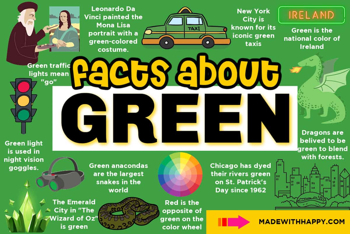 The Color Green The Color Green
