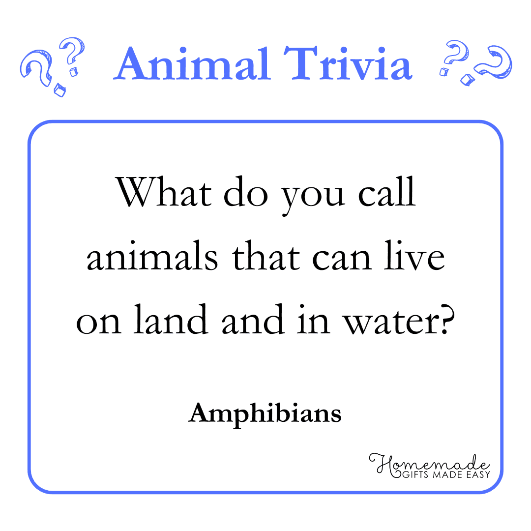 Trivia Questions Trivia Questions