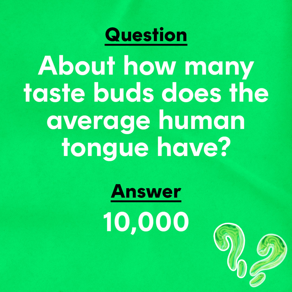 Trivia Questions